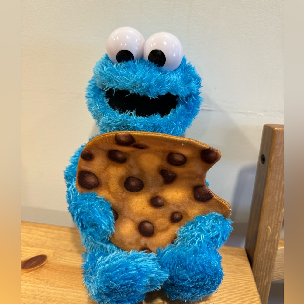Cookie Monster peek a boo toy